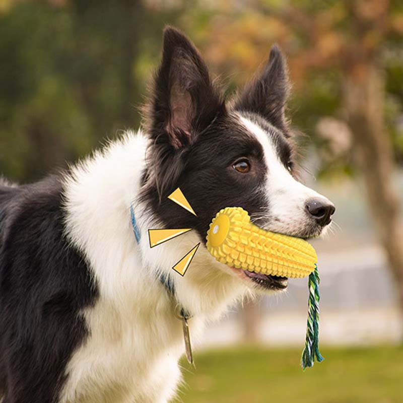 Mainan Anjing Bentuk Jagung, T - Corn Dog Stick ulasan dan harga
